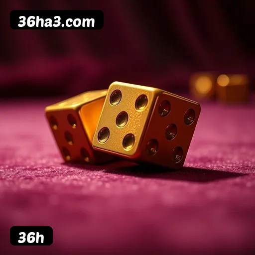 6 vantagens exclusivas do programa VIP da 36h